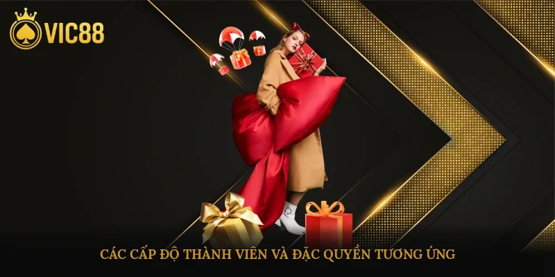 Các cấp độ thành viên và đặc quyền tương ứng trong chính sách VIP vic88