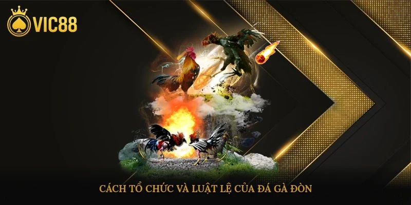 Cách tổ chức và luật lệ của đá gà đòn