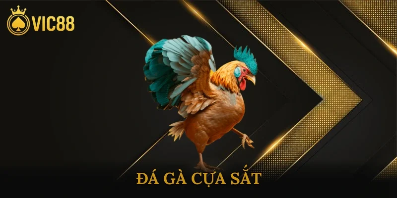 Đá Gà Cựa Sắt