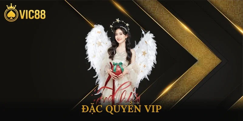Đặc Quyền Vip