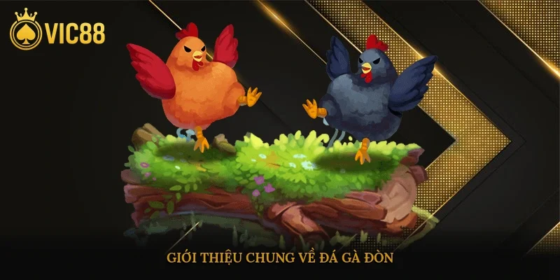 Giới thiệu chung về đá gà đòn