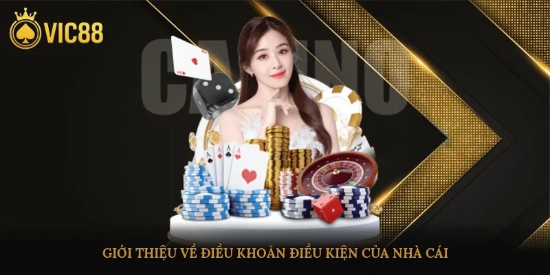Giới thiệu về điều khoản điều kiện của nhà cái