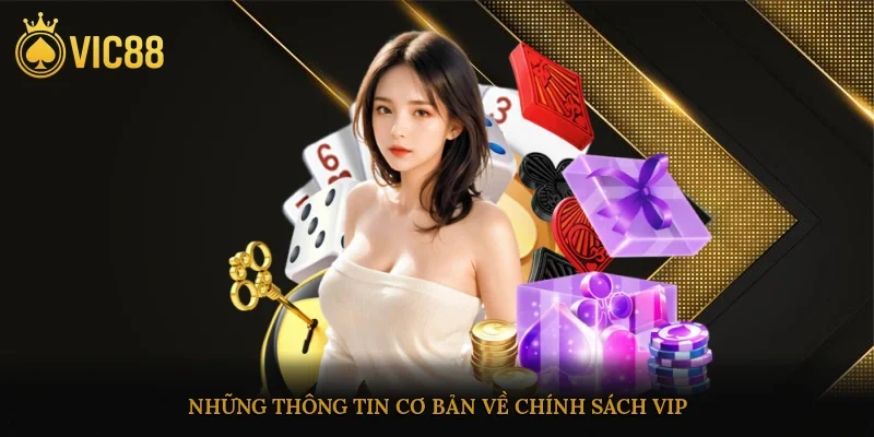 Những thông tin cơ bản về chính sách VIP