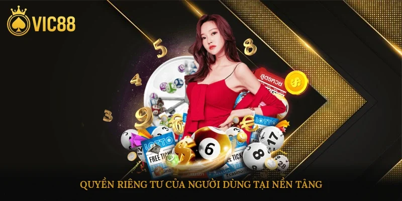 Quyền riêng tư của người dùng tại nền tảng