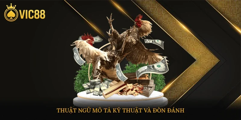 Thuật ngữ mô tả kỹ thuật và đòn đánh