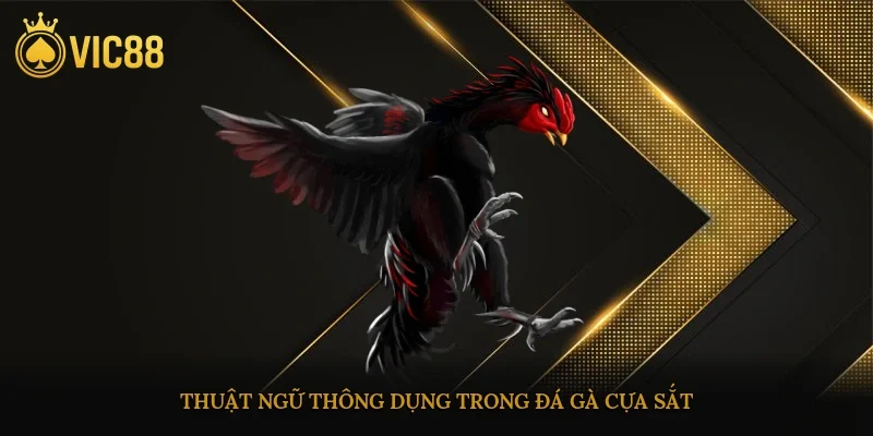 Thuật ngữ thông dụng trong đá gà cựa sắt