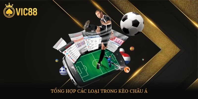 Tổng hợp các loại trong kèo châu Á