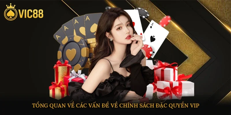 Tổng quan về các vấn đề về chính sách đặc quyền VIP
