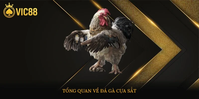 Tổng quan về đá gà cựa sắt